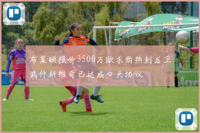 布莱顿报价3500万欧求购热刺后卫武什科维奇已达成口头协议